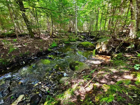 522 Mount Misery Road Littleton NH 03561