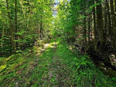 522 Mount Misery Road Littleton NH 03561