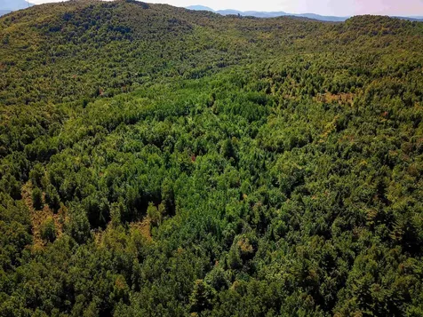 522 Mount Misery Road Littleton NH 03561