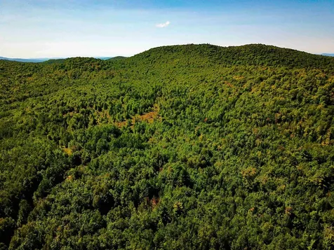 522 Mount Misery Road Littleton NH 03561