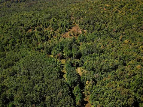 522 Mount Misery Road Littleton NH 03561