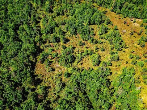 522 Mount Misery Road Littleton NH 03561