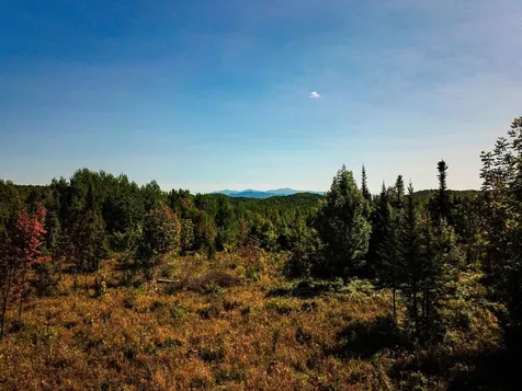 522 Mount Misery Road Littleton NH 03561