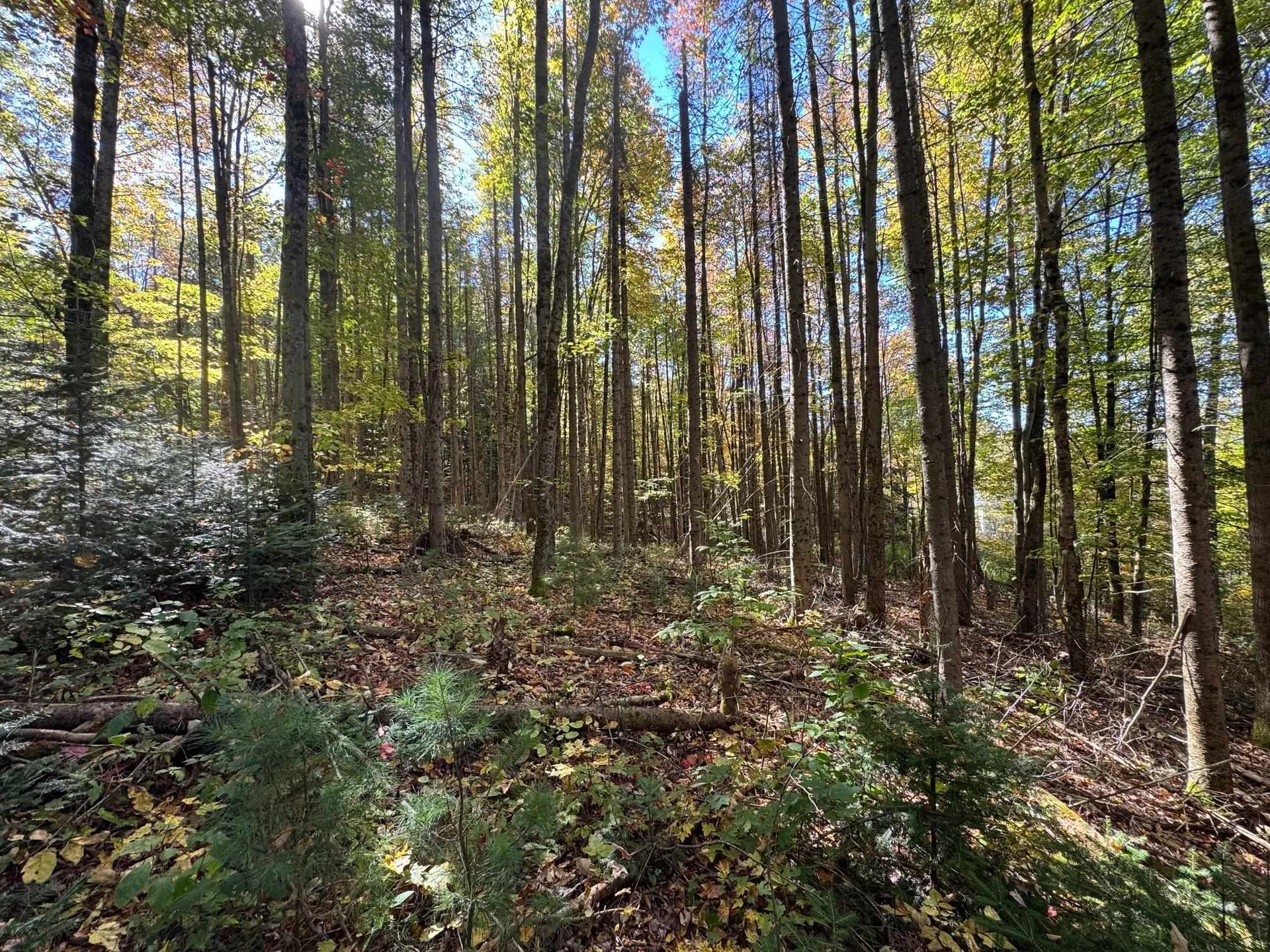 80 Wade Road Moretown VT 05660