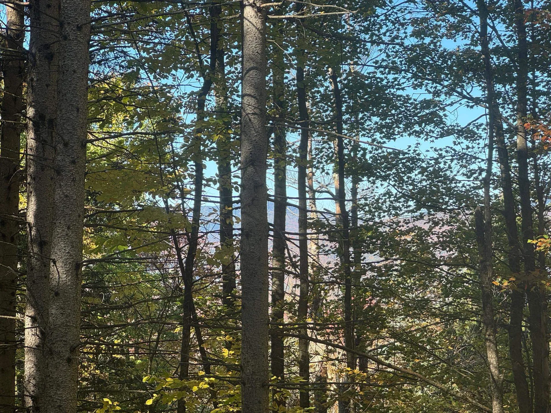 80 Wade Road Moretown VT 05660