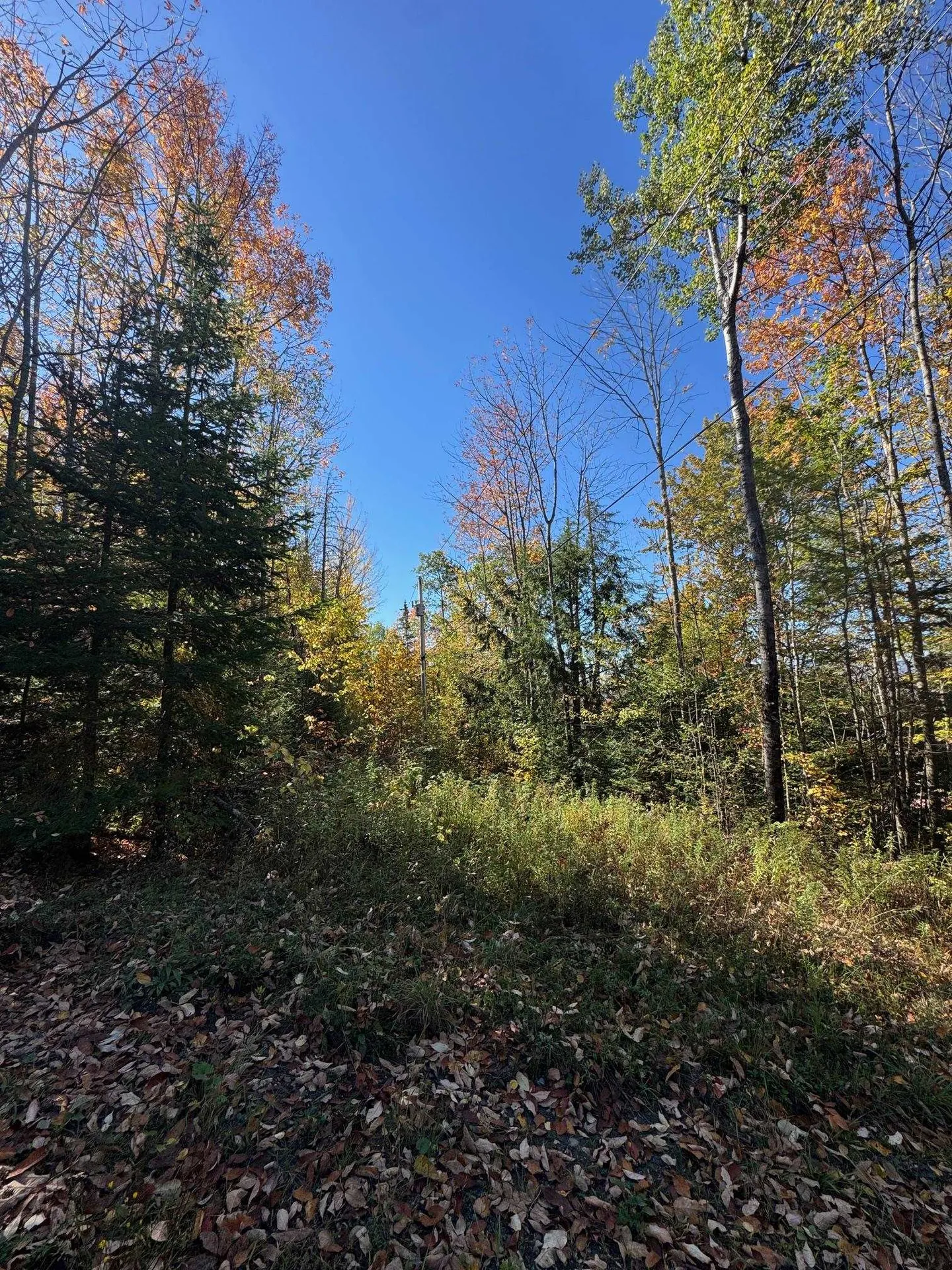 80 Wade Road Moretown VT 05660