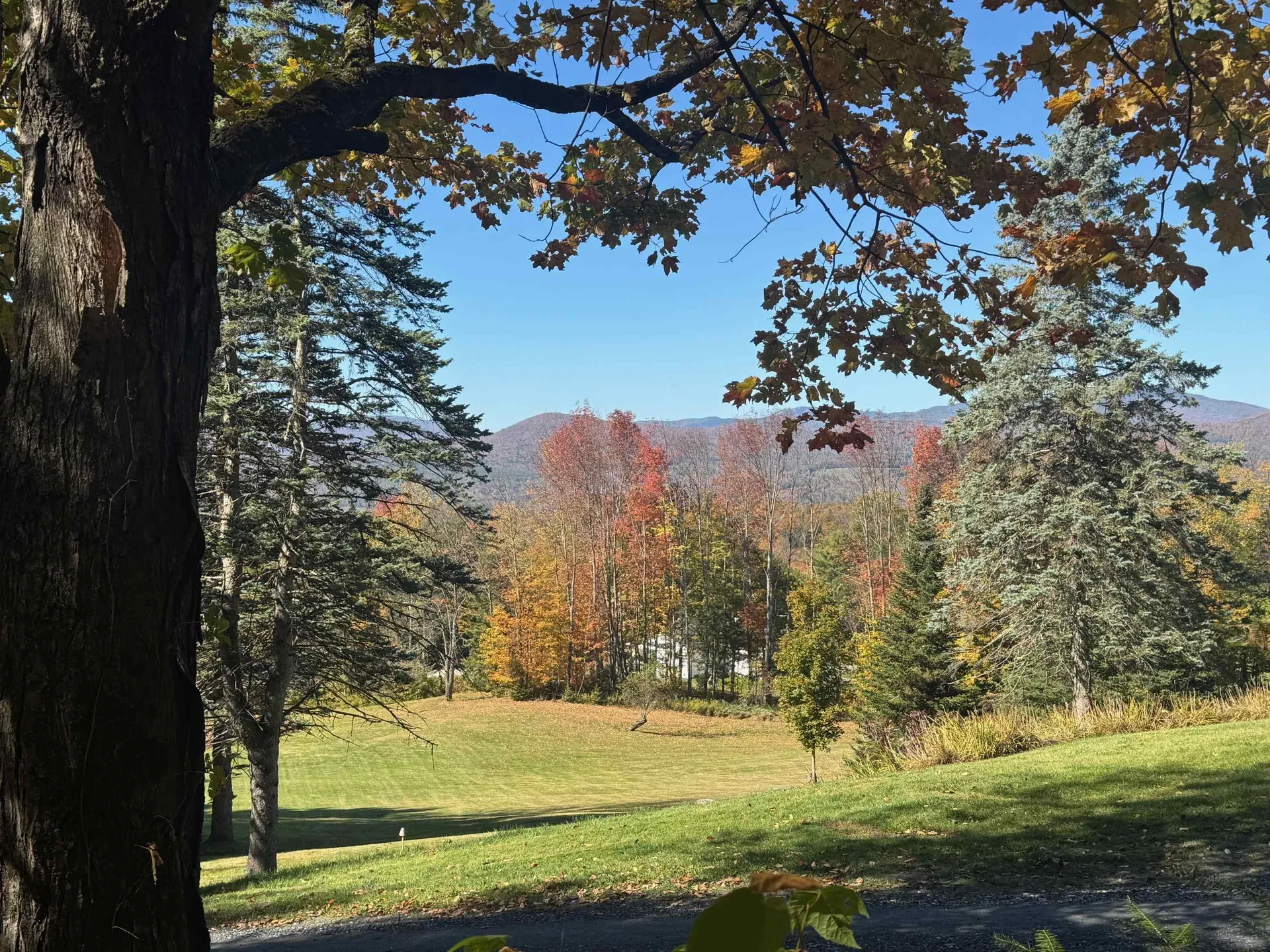 80 Wade Road Moretown VT 05660