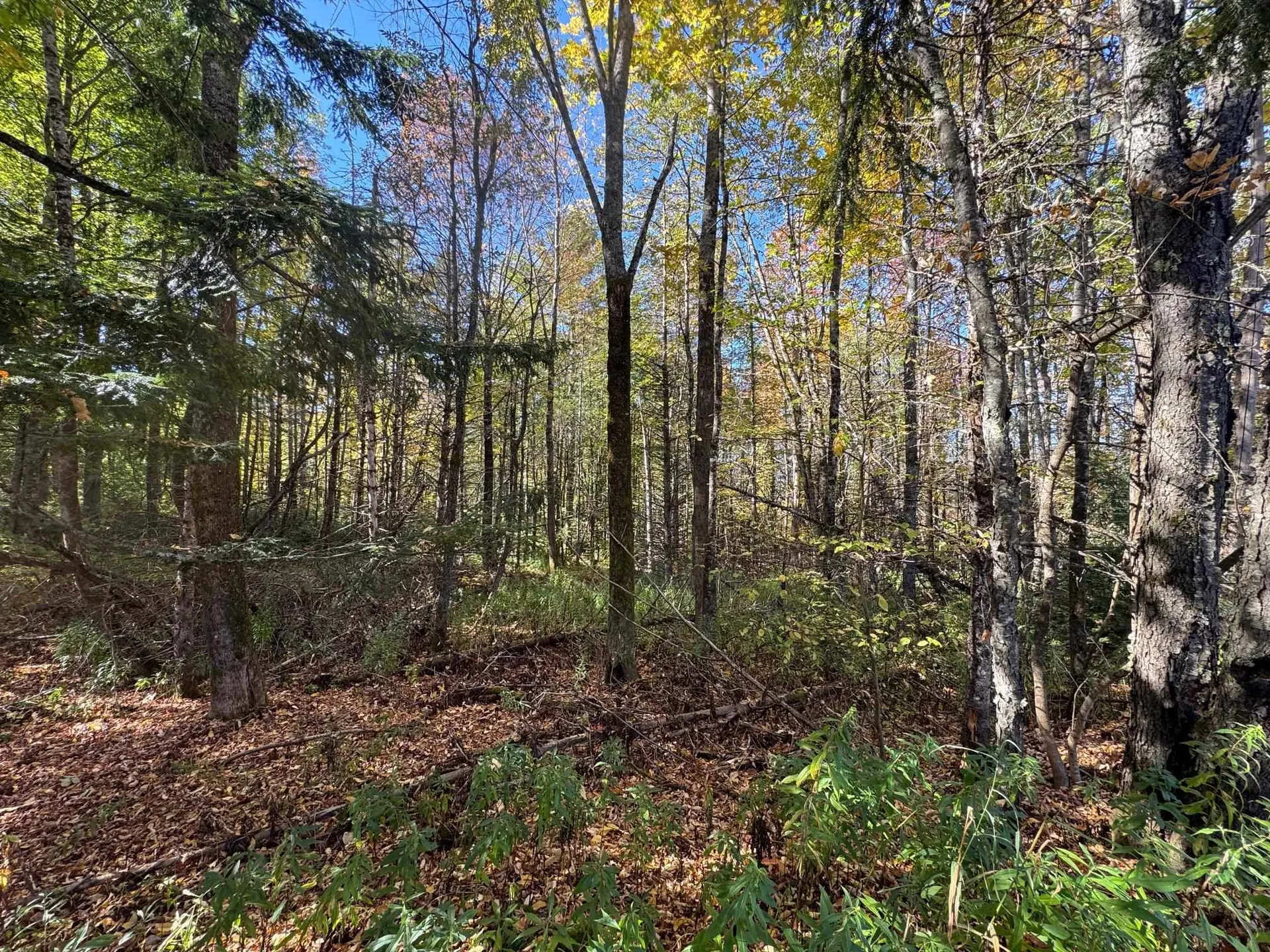 80 Wade Road Moretown VT 05660