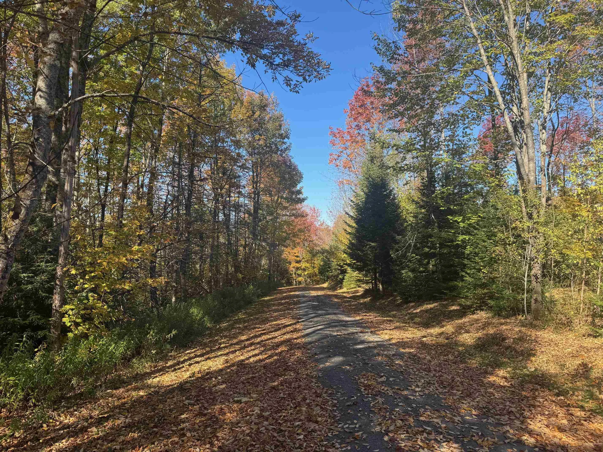 80 Wade Road Moretown VT 05660