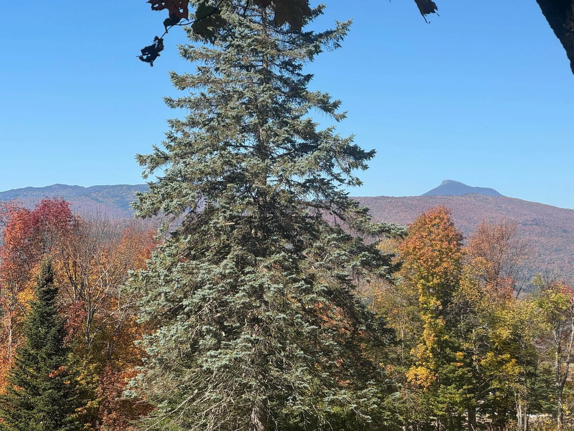 80 Wade Road Moretown VT 05660