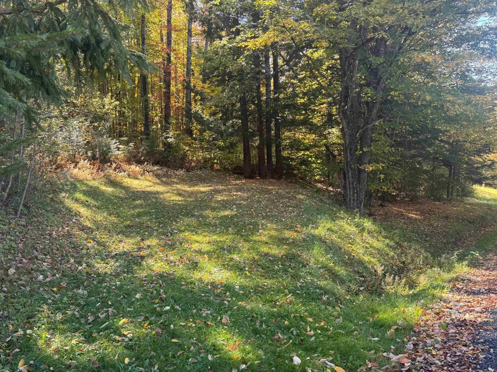 80 Wade Road Moretown VT 05660