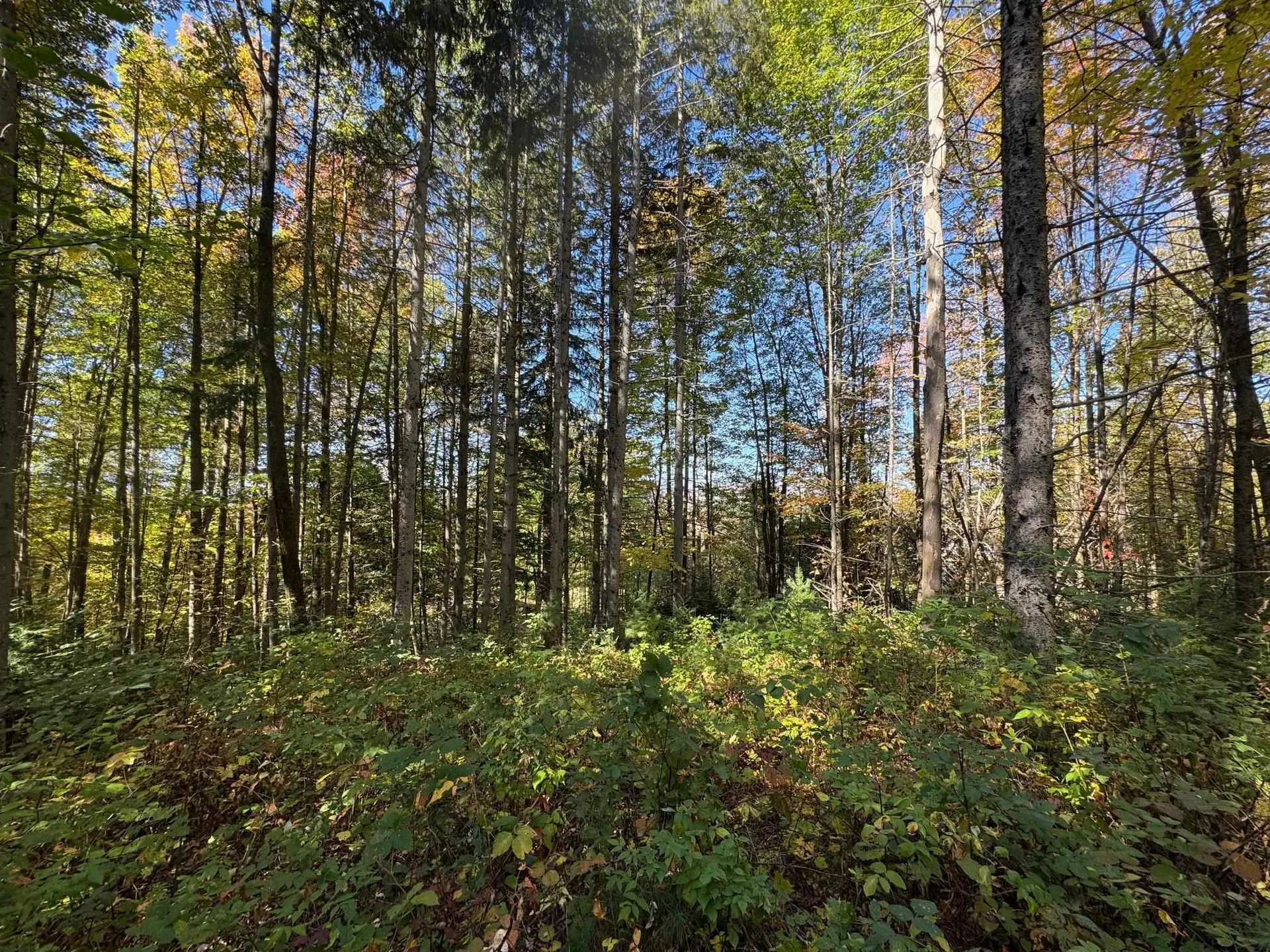 80 Wade Road Moretown VT 05660