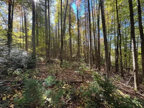 80 Wade Road Moretown VT 05660