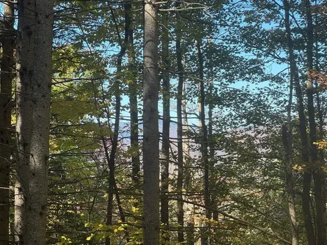 80 Wade Road Moretown VT 05660