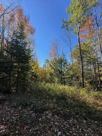 80 Wade Road Moretown VT 05660