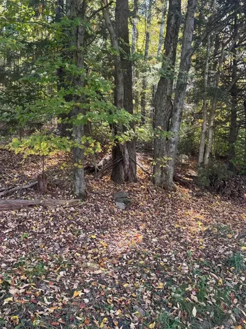 80 Wade Road Moretown VT 05660