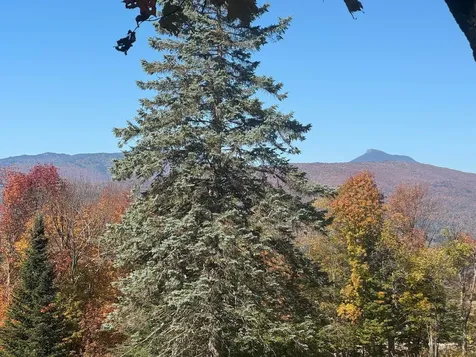 80 Wade Road Moretown VT 05660