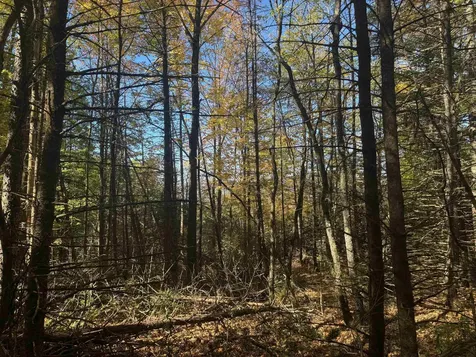 80 Wade Road Moretown VT 05660