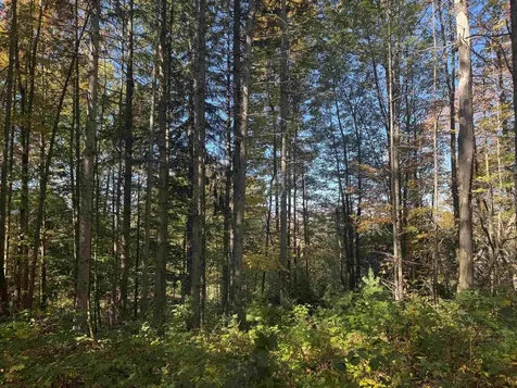 80 Wade Road Moretown VT 05660