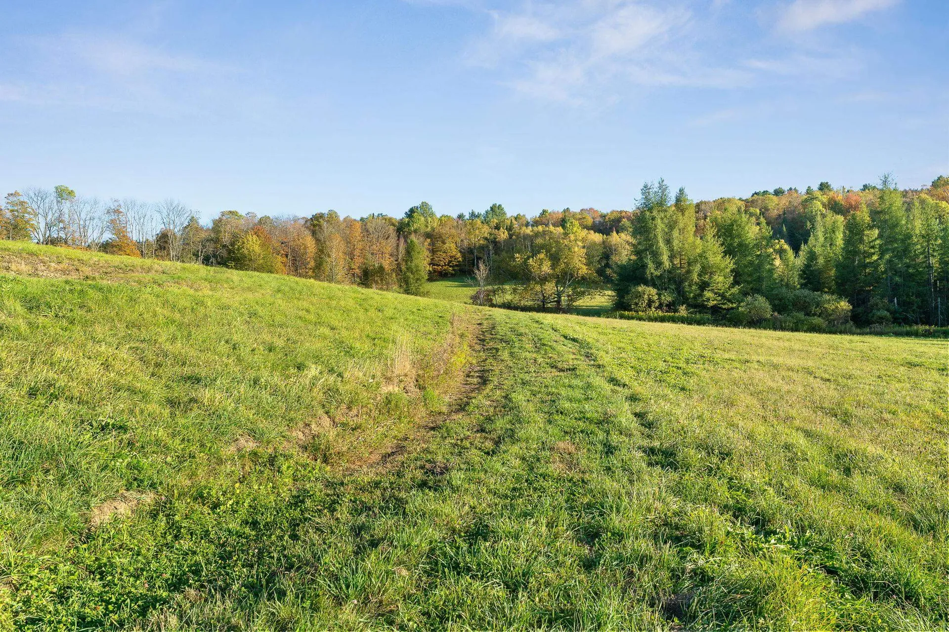 223 Bobbinshop Road Chelsea VT 05038