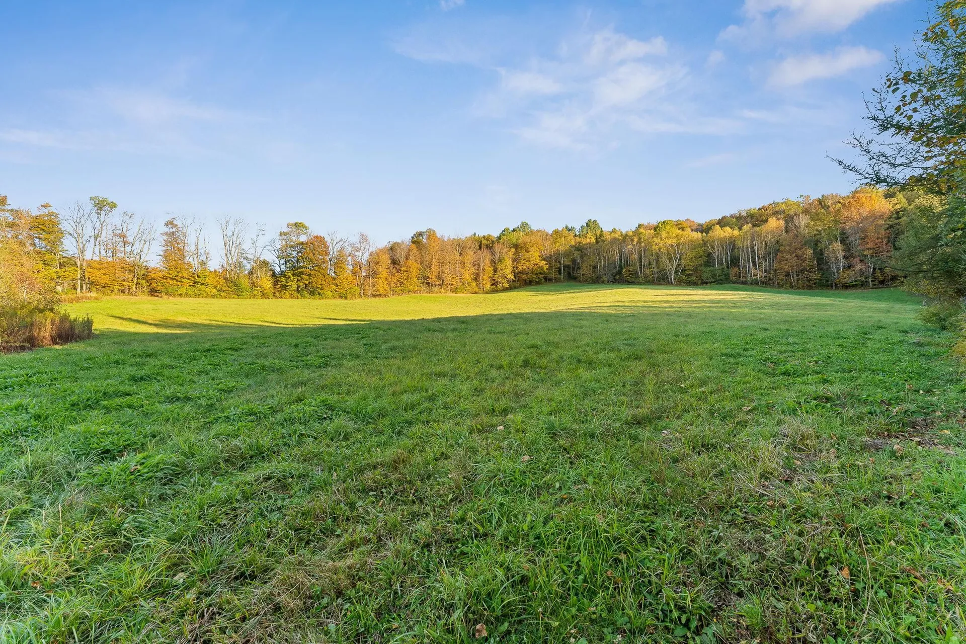 223 Bobbinshop Road Chelsea VT 05038