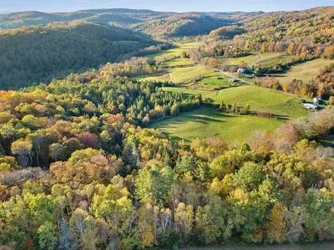 223 Bobbinshop Road Chelsea VT 05038