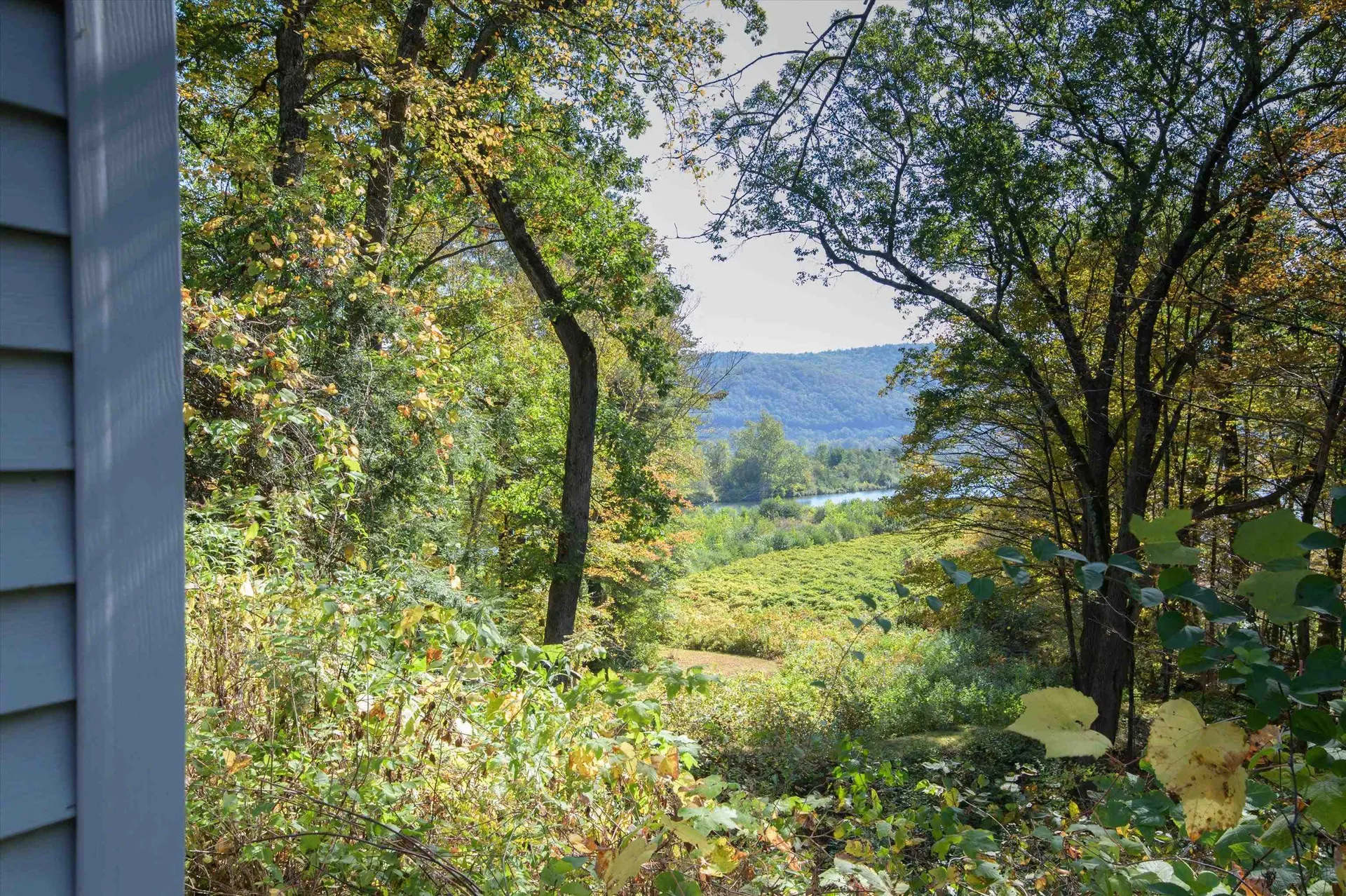 79 Missing Link Road Rockingham VT 05101