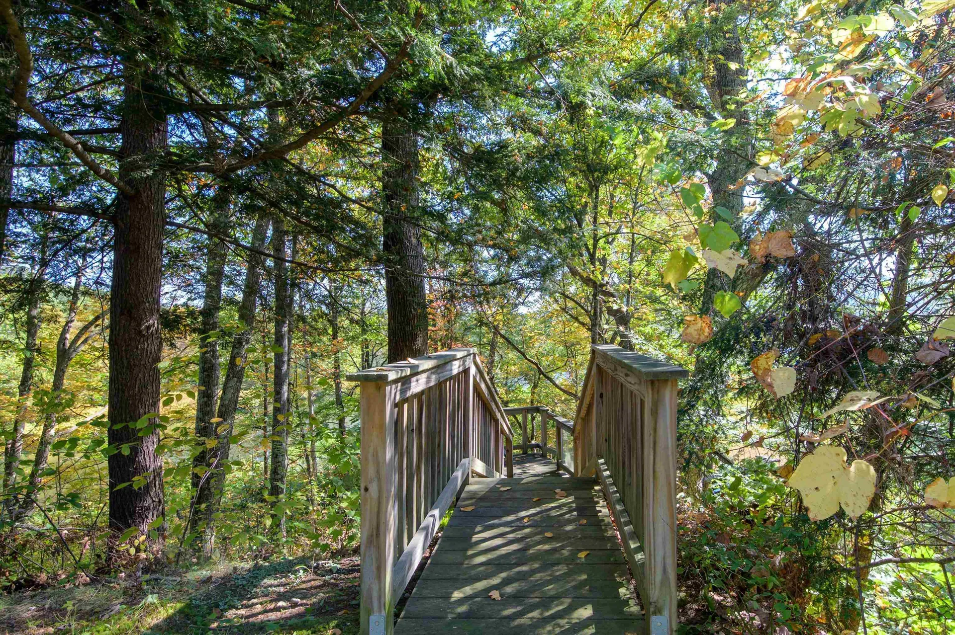 79 Missing Link Road Rockingham VT 05101