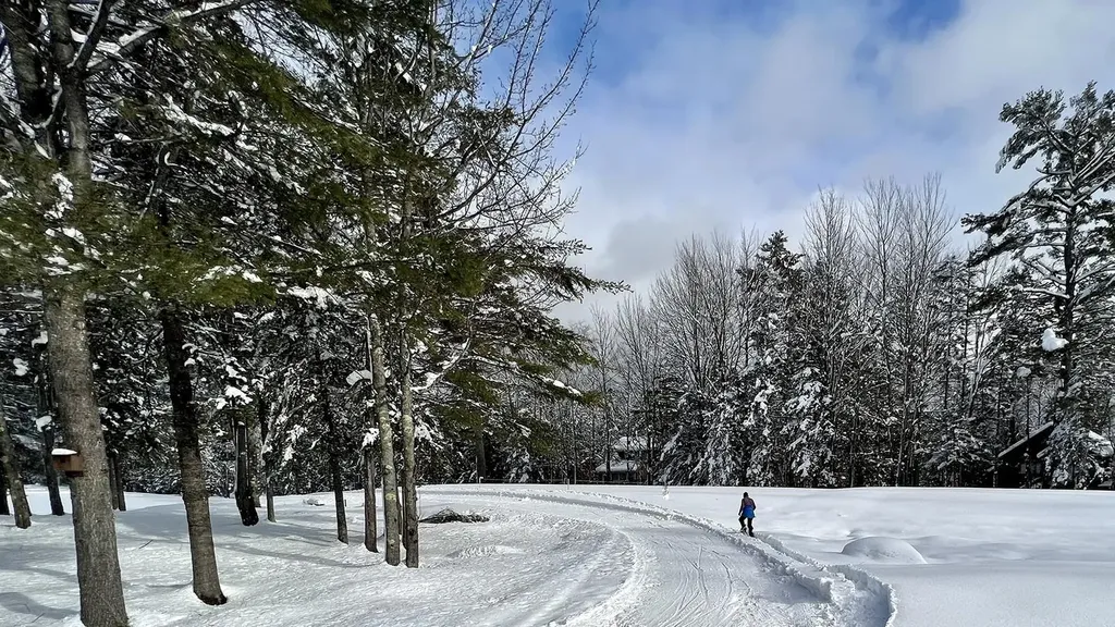 112 Greensward Drive Grantham NH 03753