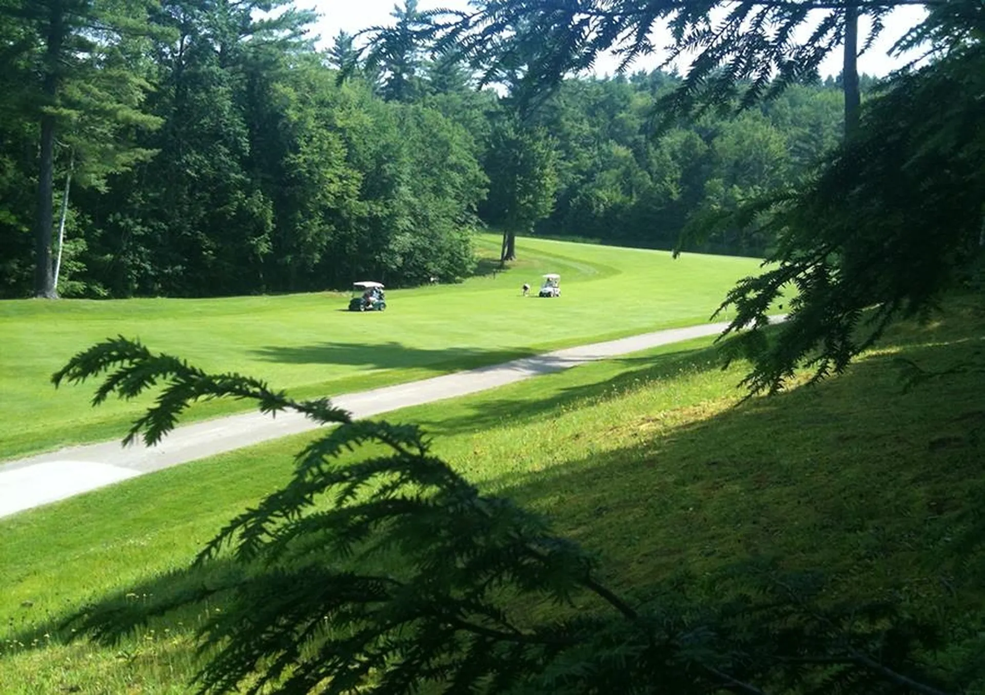 112 Greensward Drive Grantham NH 03753