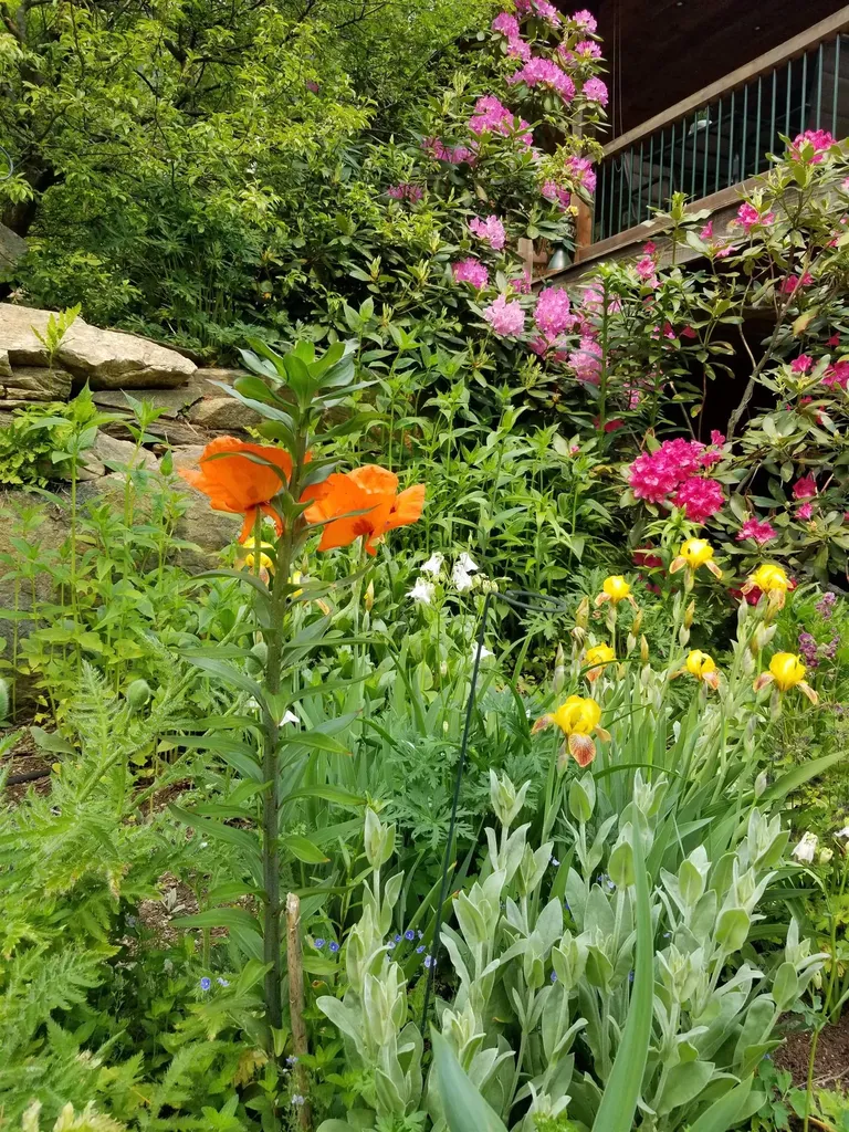 1452 Tyson Road Reading VT 05062