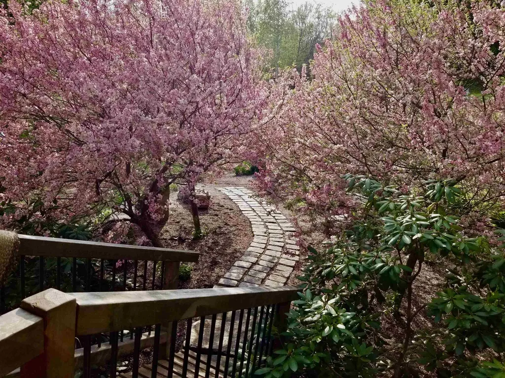 1452 Tyson Road Reading VT 05062