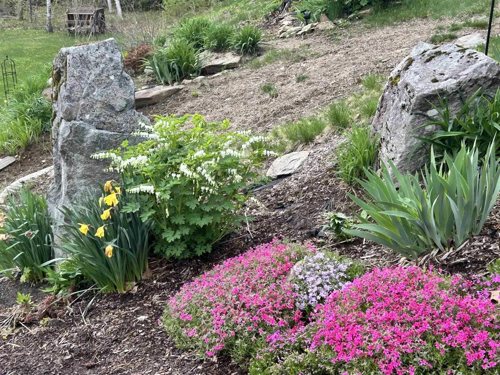 1452 Tyson Road Reading VT 05062