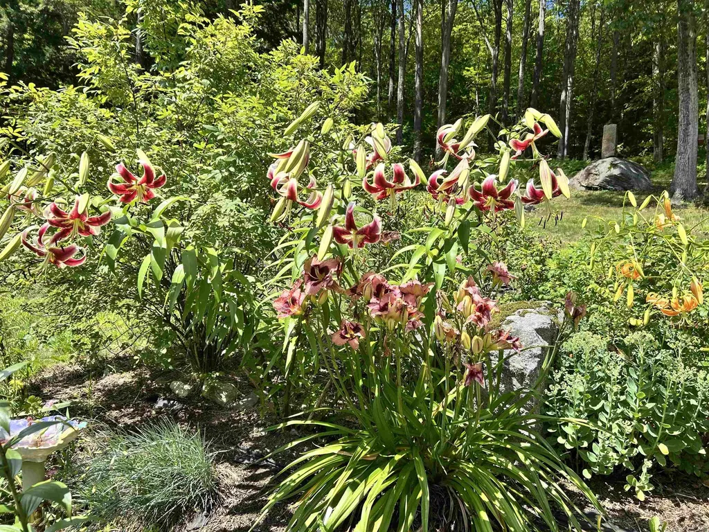 1452 Tyson Road Reading VT 05062