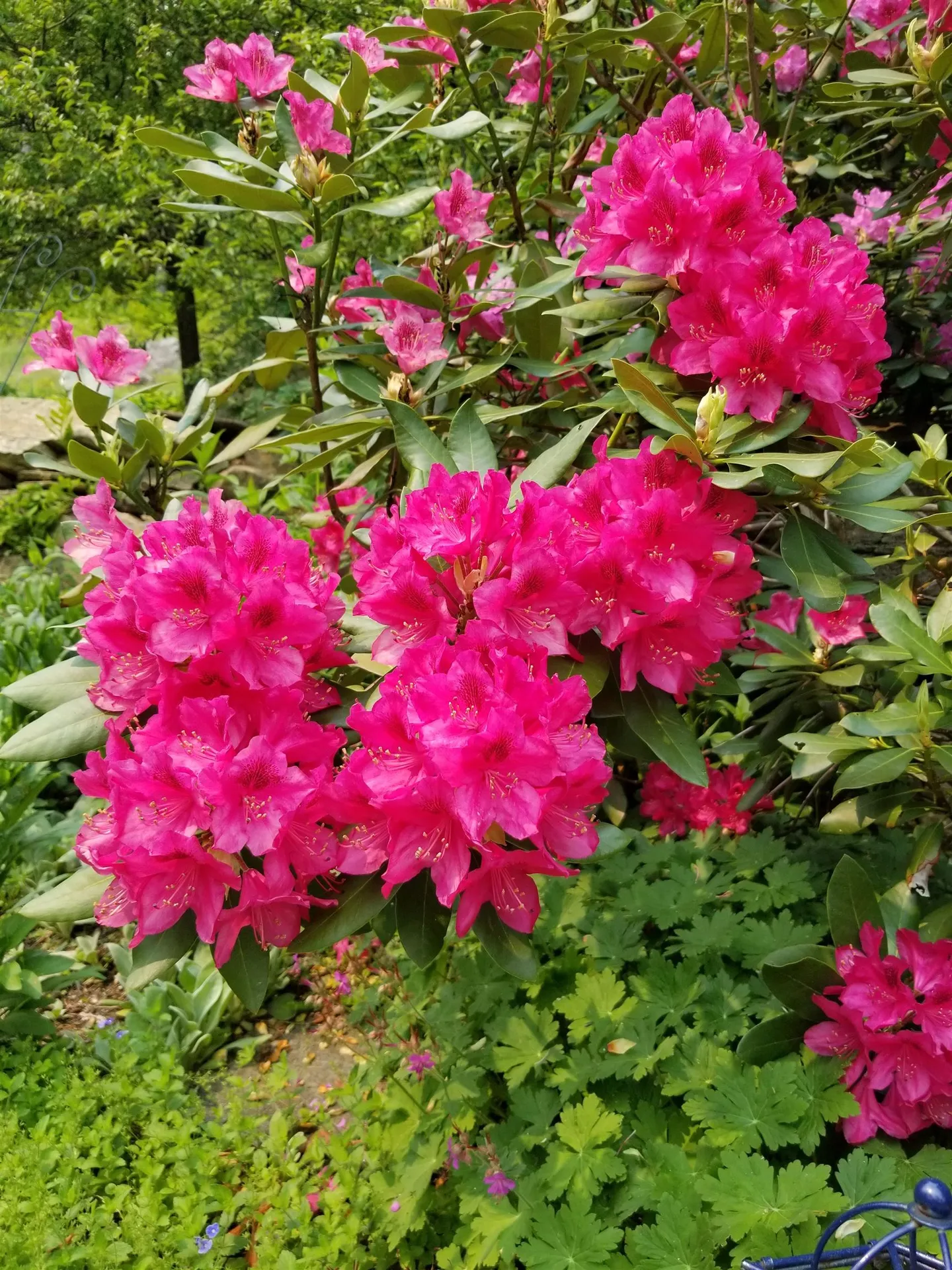 1452 Tyson Road Reading VT 05062