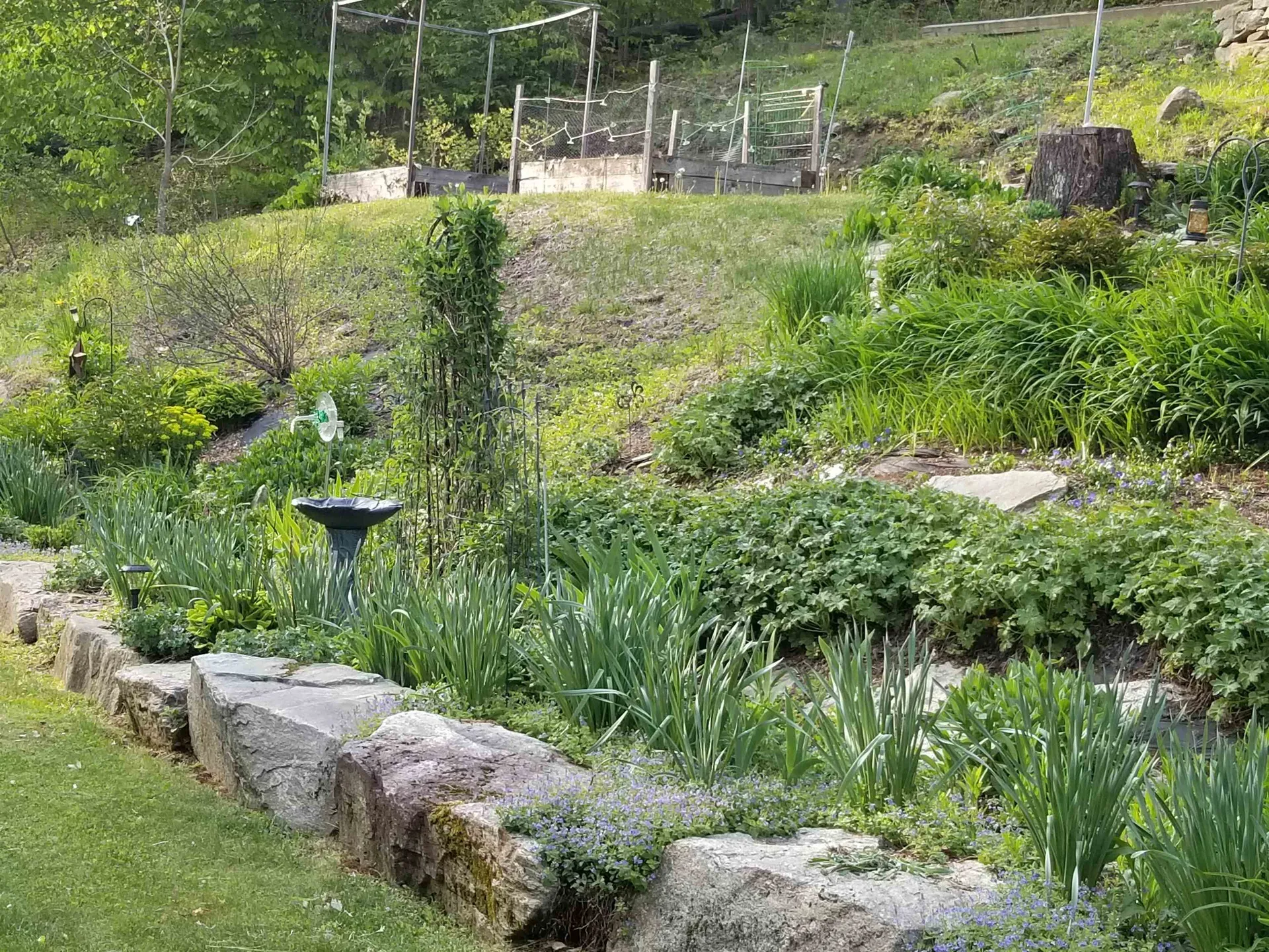 1452 Tyson Road Reading VT 05062