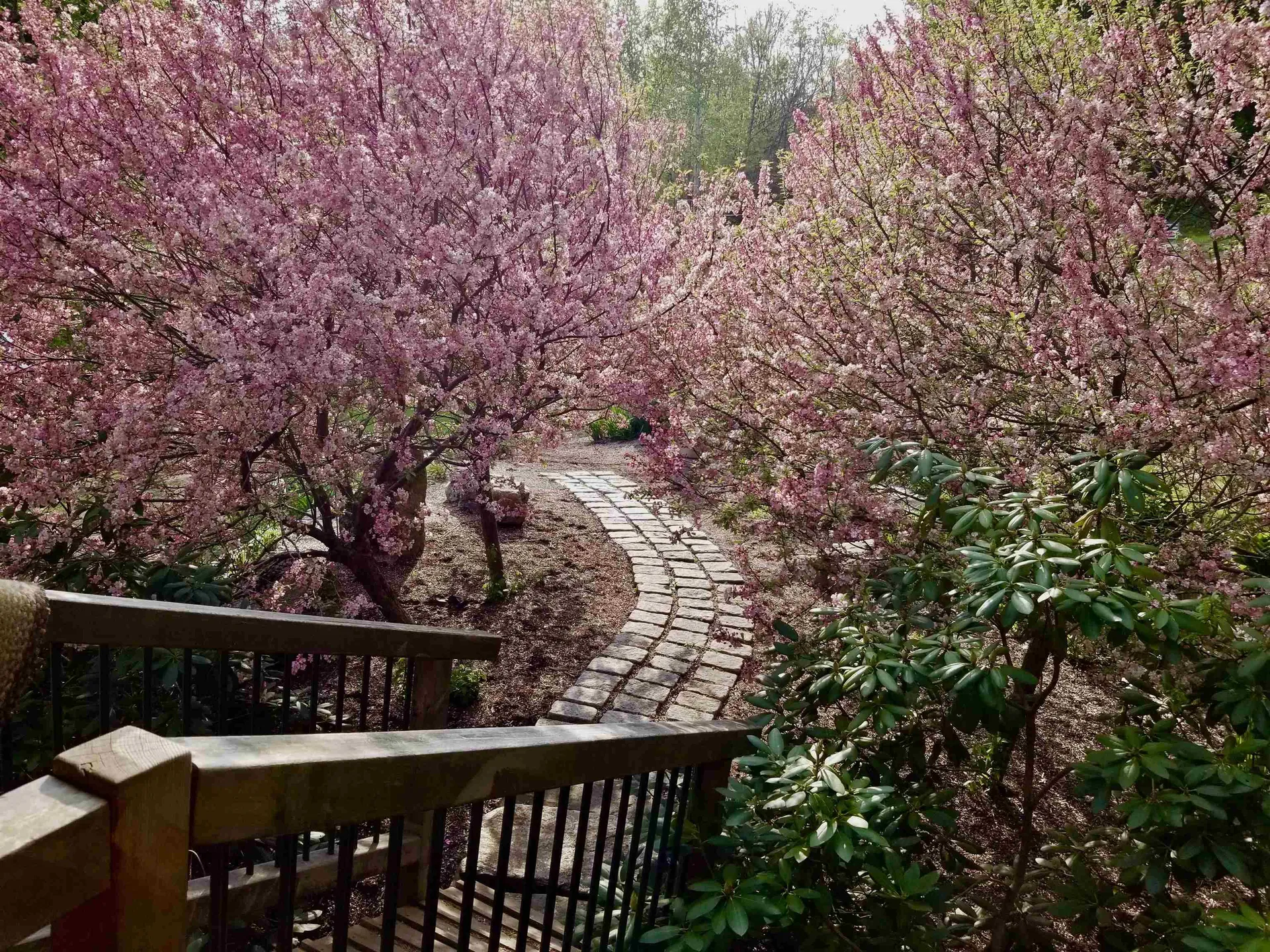 1452 Tyson Road Reading VT 05062