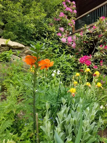 1452 Tyson Road Reading VT 05062