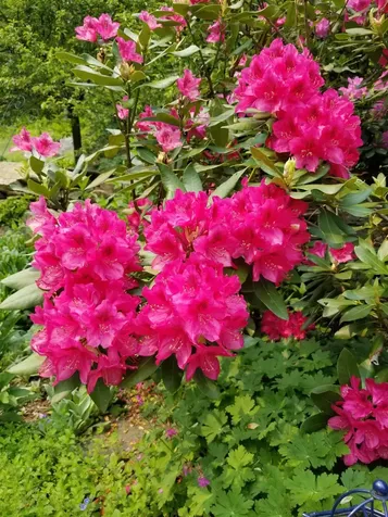 1452 Tyson Road Reading VT 05062