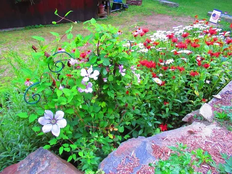 1452 Tyson Road Reading VT 05062