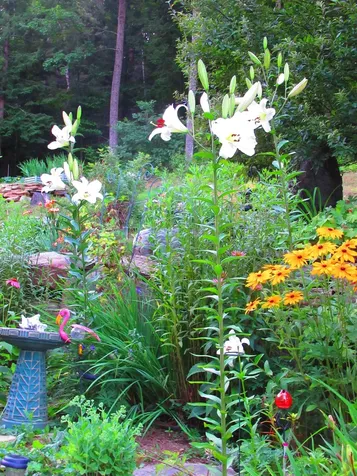 1452 Tyson Road Reading VT 05062