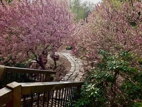 1452 Tyson Road Reading VT 05062