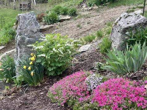 1452 Tyson Road Reading VT 05062