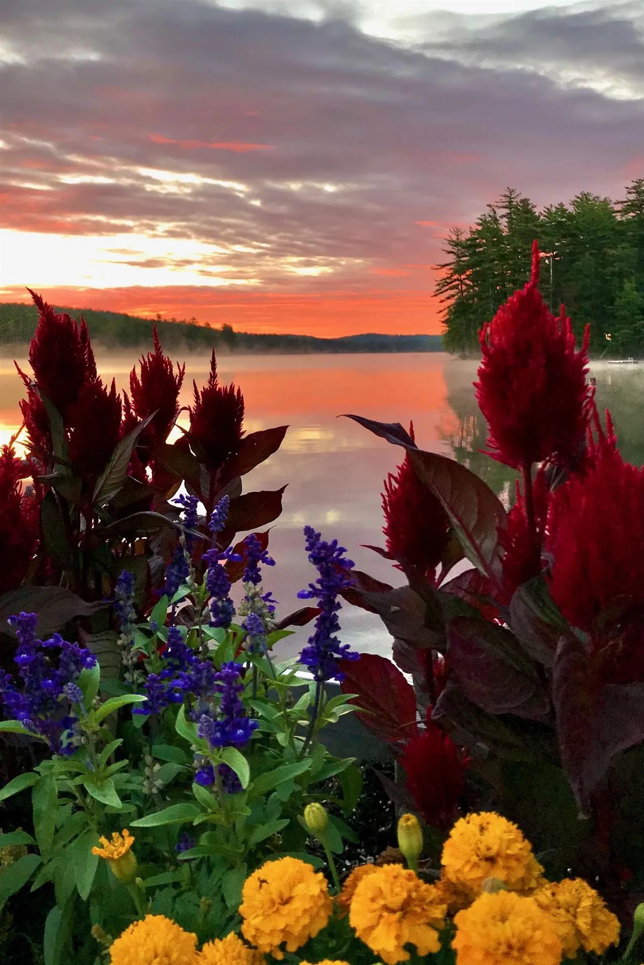 419 Lovell Lake Road Wakefield NH 03872