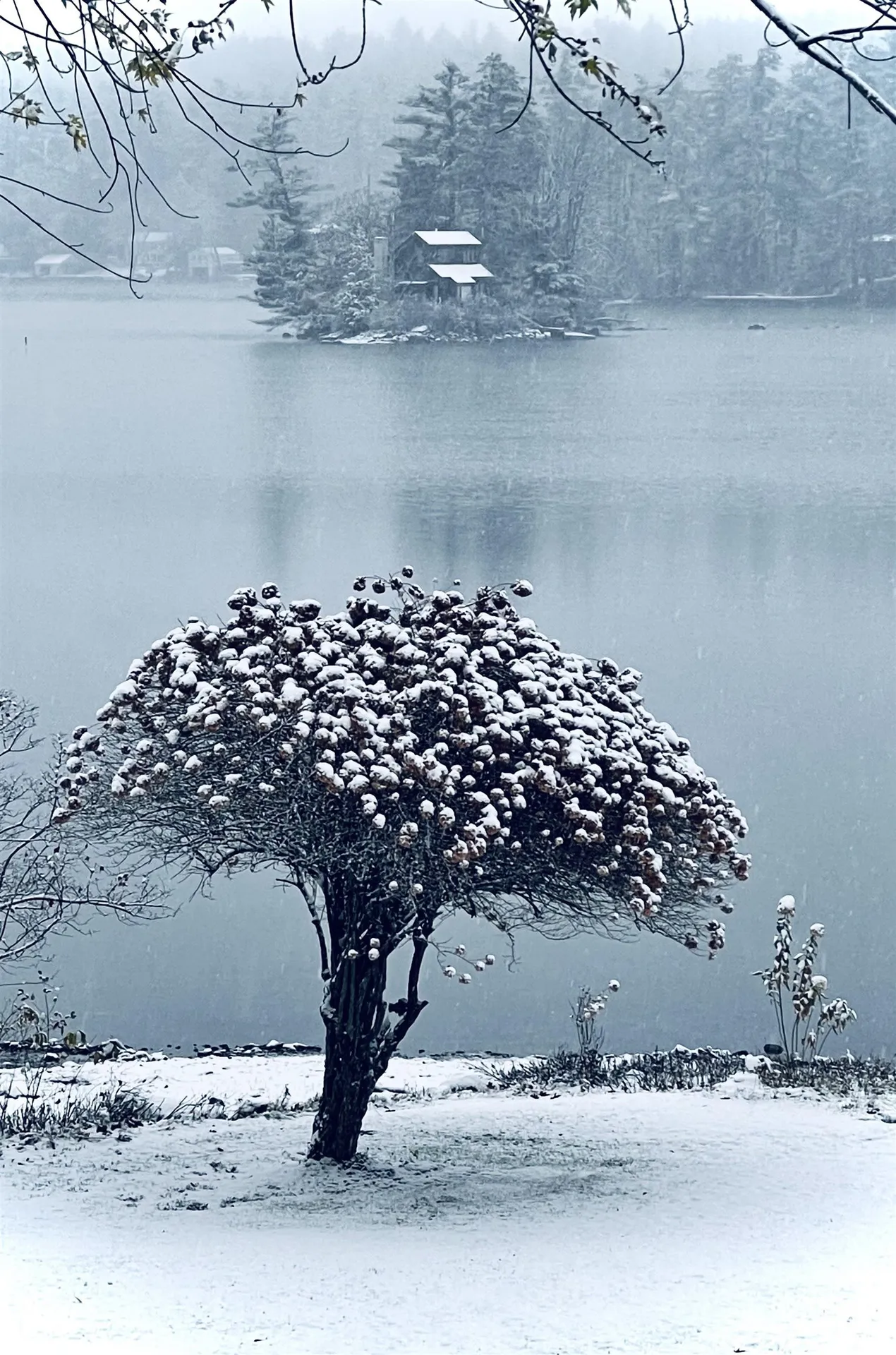 419 Lovell Lake Road Wakefield NH 03872