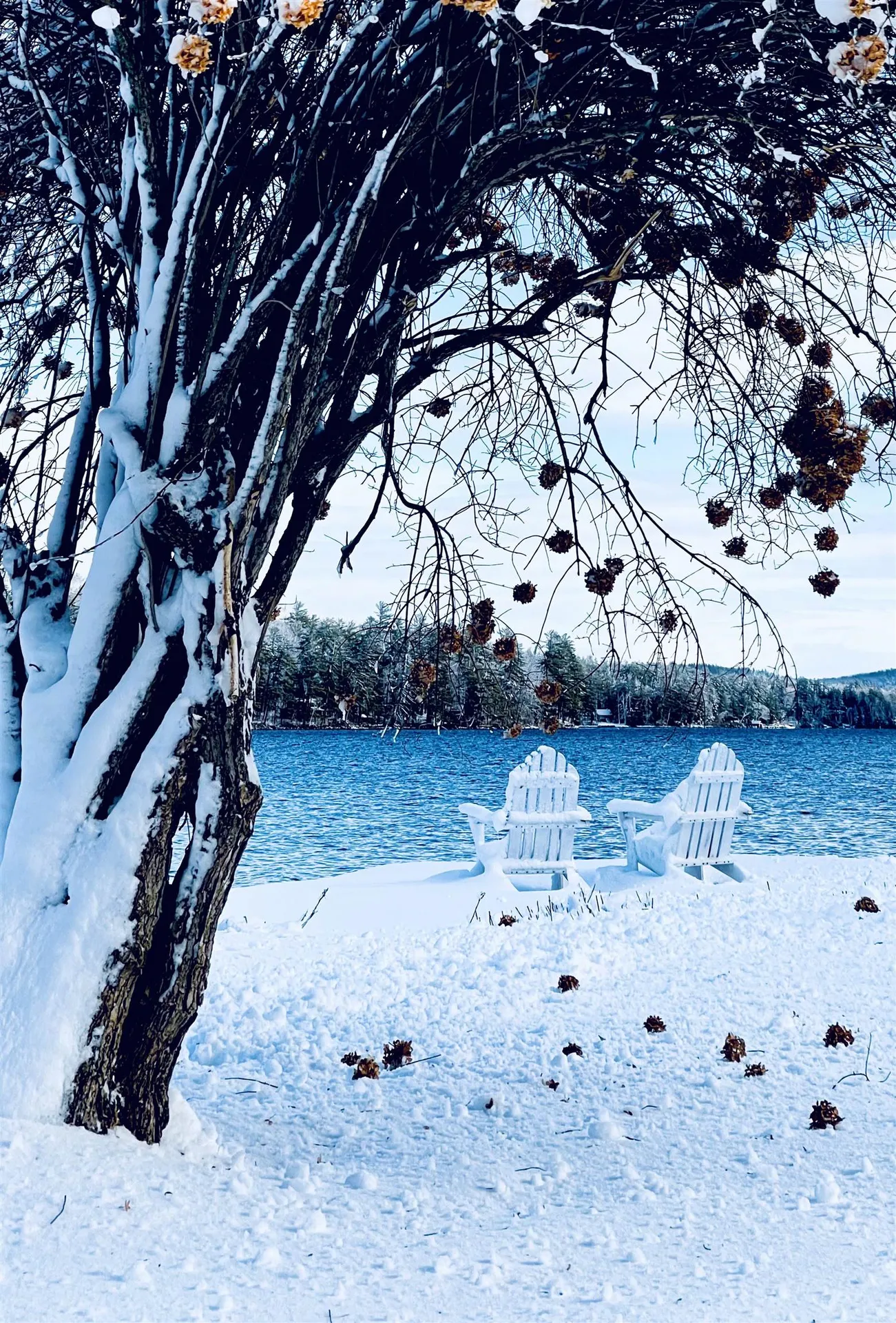 419 Lovell Lake Road Wakefield NH 03872