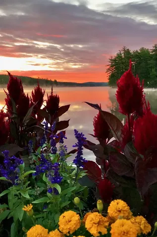 419 Lovell Lake Road Wakefield NH 03872