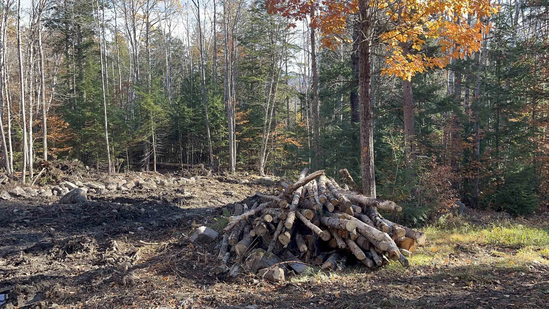 00 Dundee Road Bartlett NH 03812