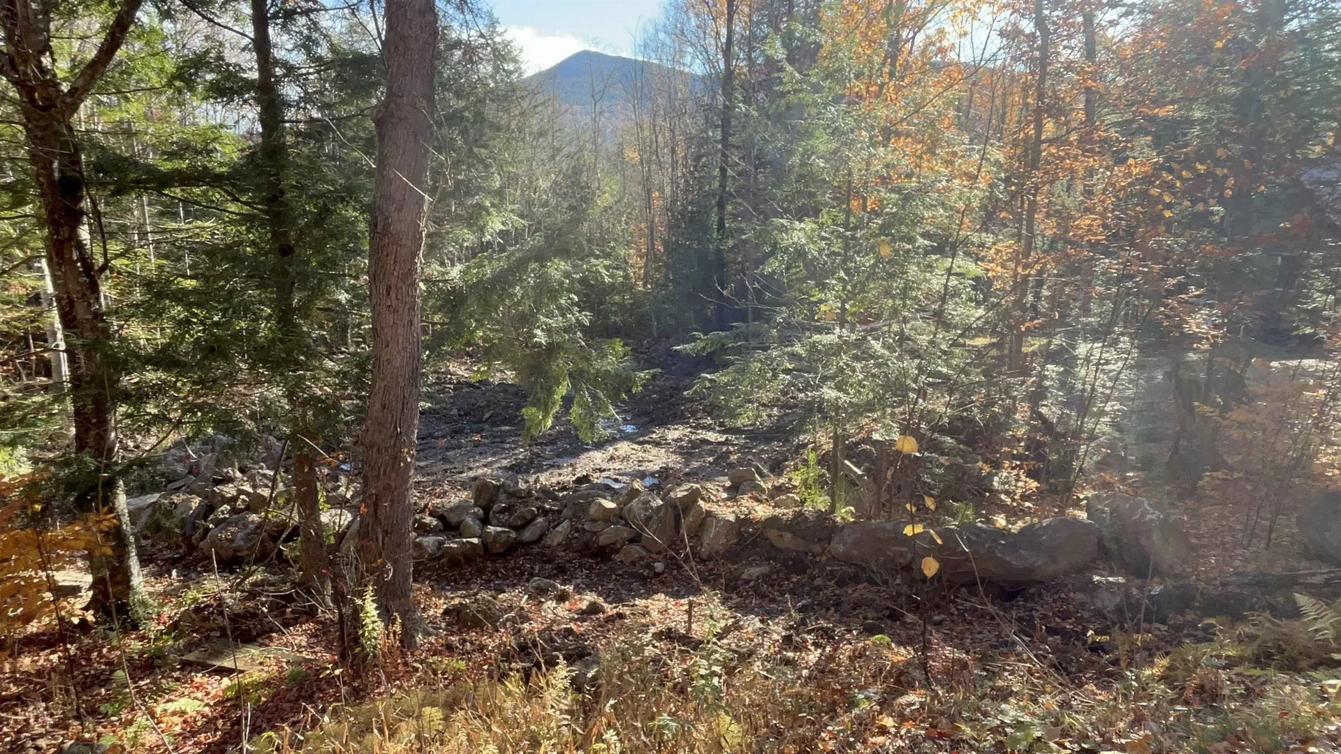 00 Dundee Road Bartlett NH 03812