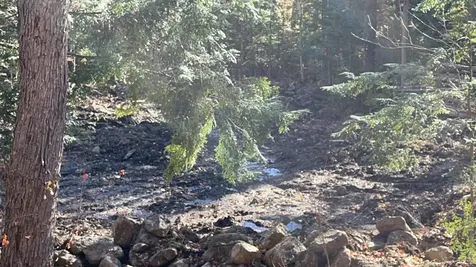 00 Dundee Road Bartlett NH 03812